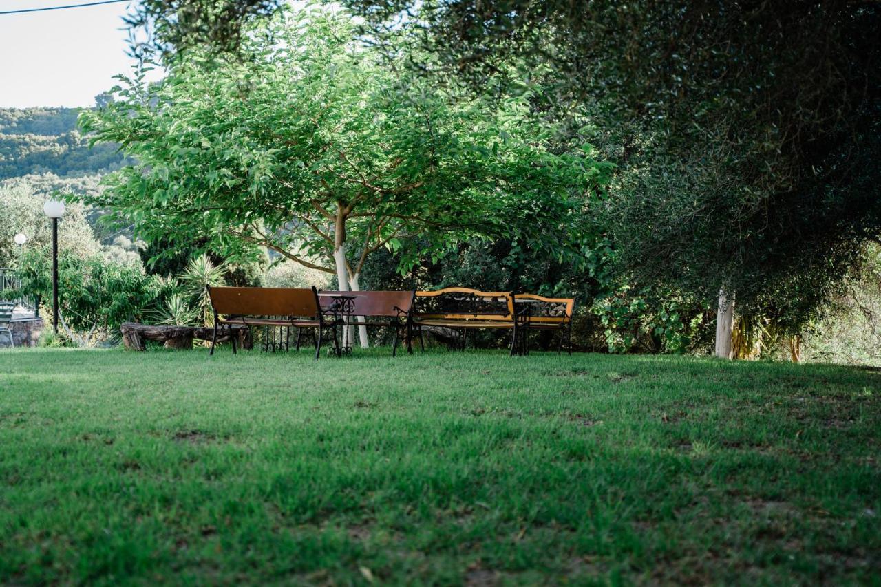 Villa Kallithea Πάργα Εξωτερικό φωτογραφία