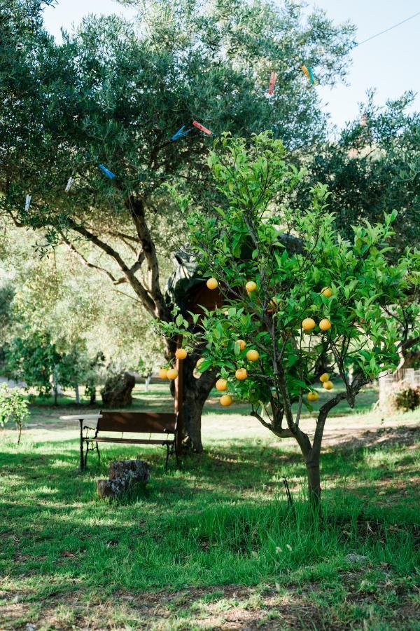 Villa Kallithea Πάργα Εξωτερικό φωτογραφία