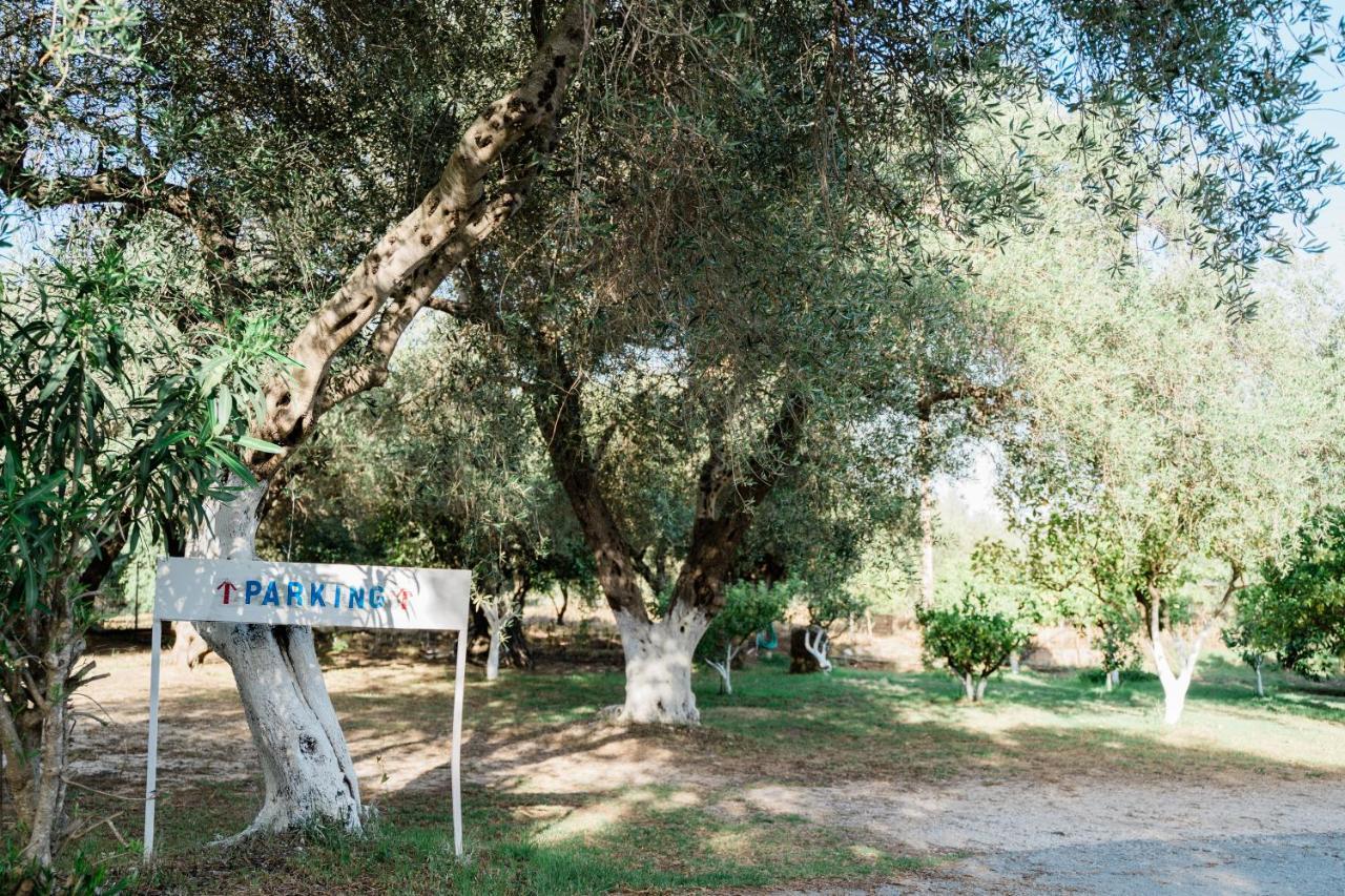 Villa Kallithea Πάργα Εξωτερικό φωτογραφία