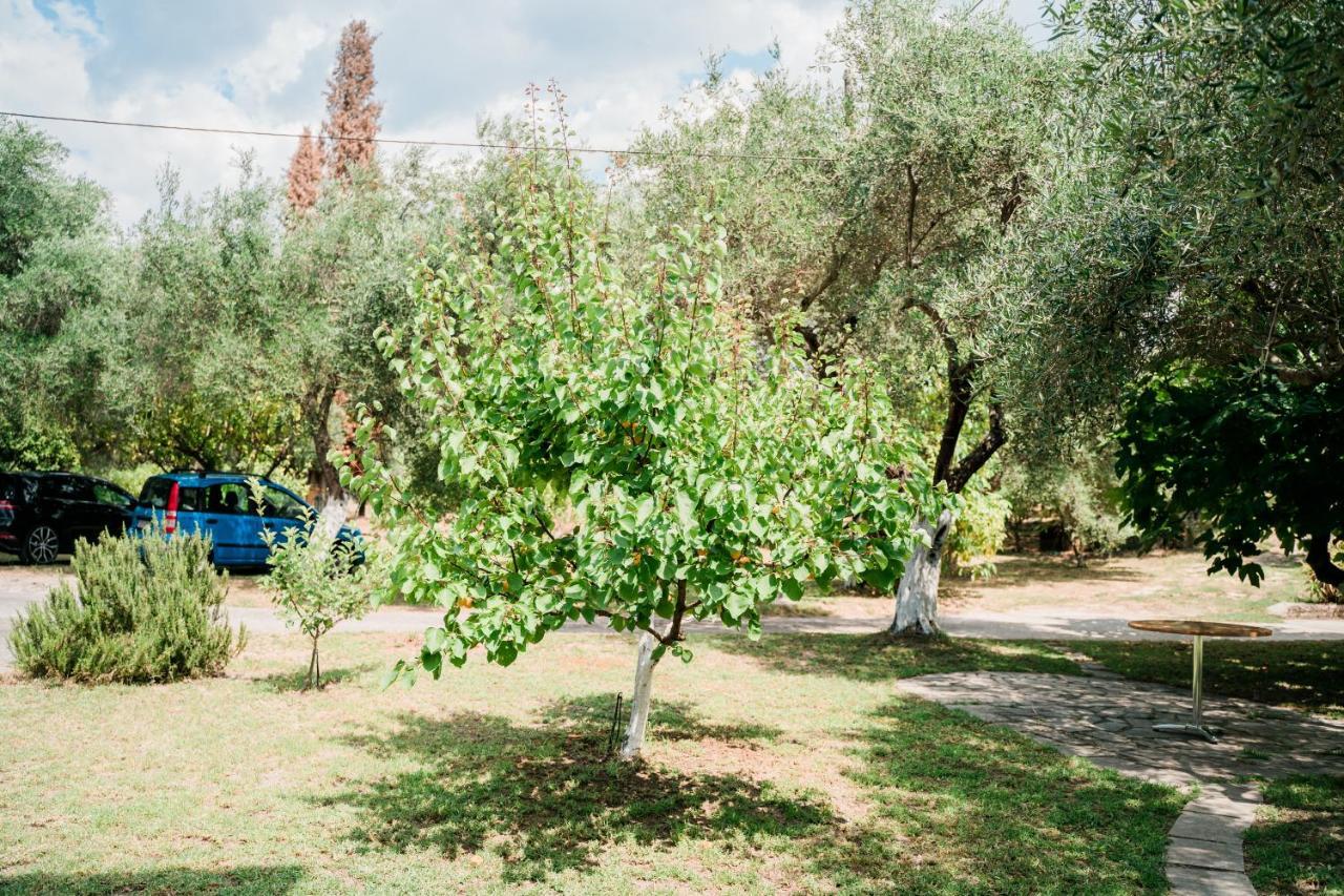 Villa Kallithea Πάργα Εξωτερικό φωτογραφία